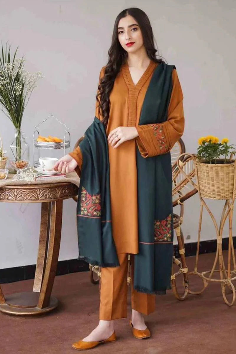 Woman in a traditional outfit with a green dupatta in an indoor setting