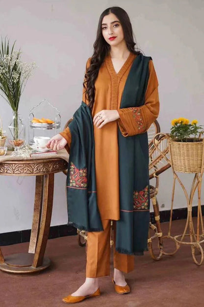 Woman in a traditional outfit with a green dupatta in an indoor setting