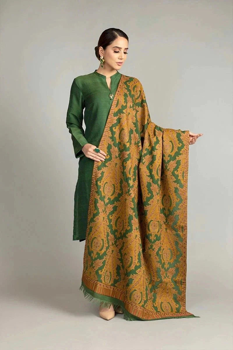 Bareeze Embroidered 3 Piece Winter Collection BR-5025